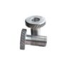 Cheekplate-screw